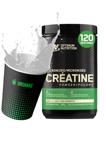 Optimum Nutrition Micronized Creatine